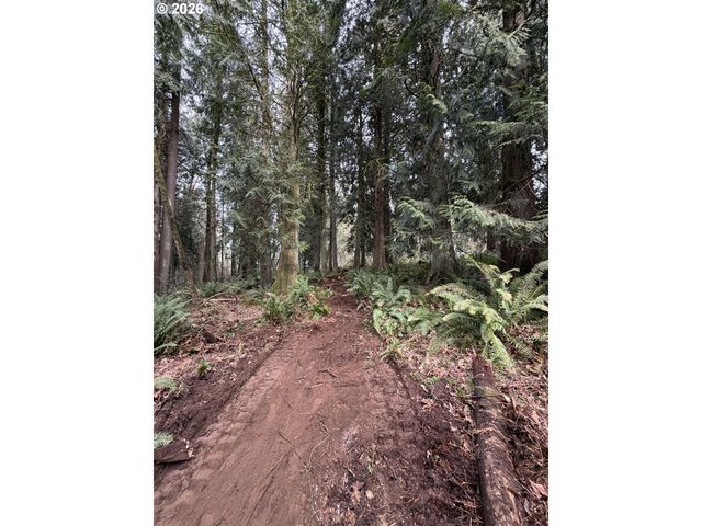 Meserve Rd, Rainier, OR 97048