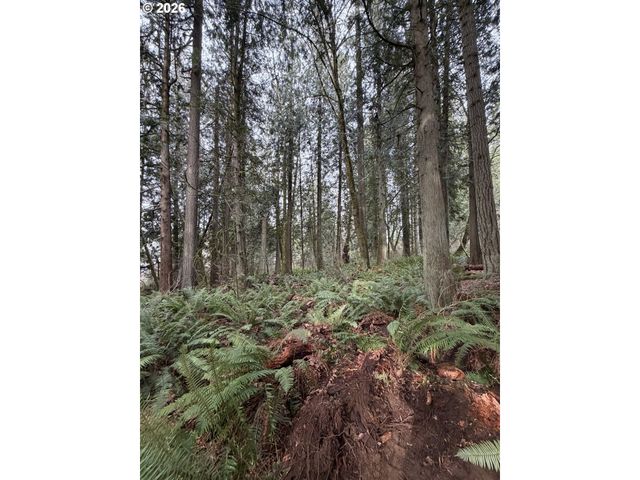 Meserve Rd, Rainier, OR 97048