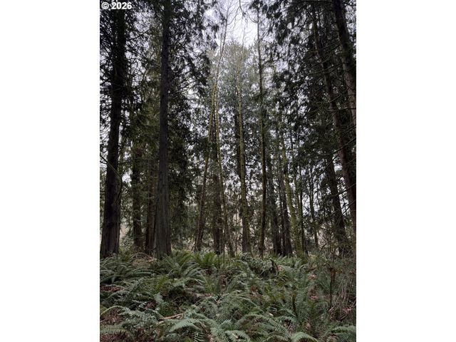 Meserve Rd, Rainier, OR 97048