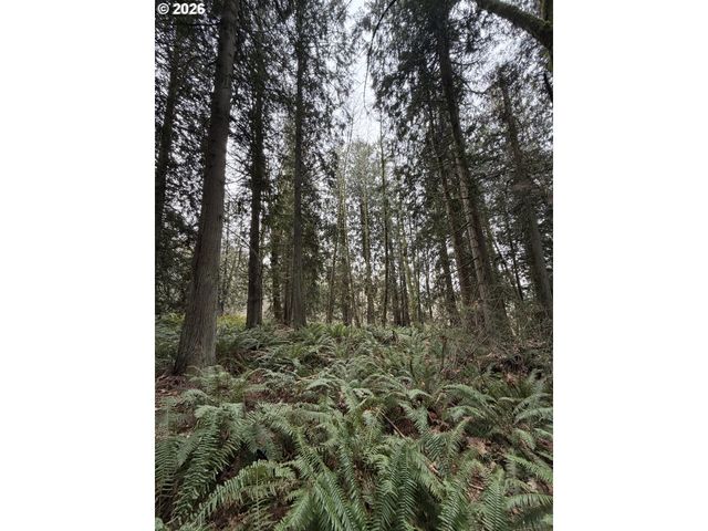 Meserve Rd, Rainier, OR 97048