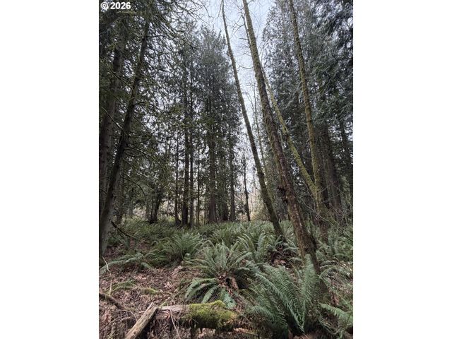 Meserve Rd, Rainier, OR 97048