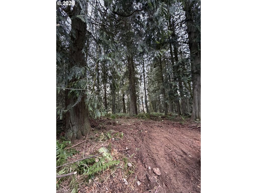 Meserve Rd, Rainier, OR 97048