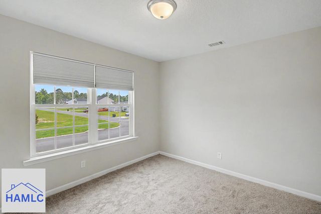 188 Sunflower Circle, Ludowici, GA 31316