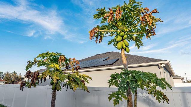 330 TRAVELERS CREEK DRIVE, Auburndale, FL 33823