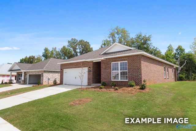 217 Jerrie Lynn Boulevard, Meridianville, AL 35759