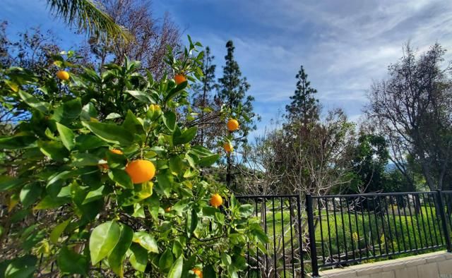 727 Dane Drive, San Marcos, CA 92069