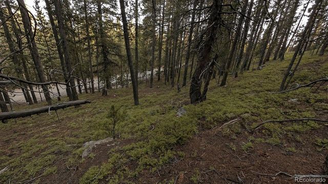 000 Steuart Road, Idaho Springs, CO 80452