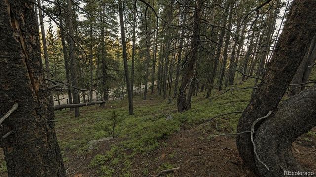 000 Steuart Road, Idaho Springs, CO 80452