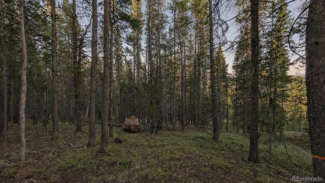 000 Steuart Road, Idaho Springs, CO 80452
