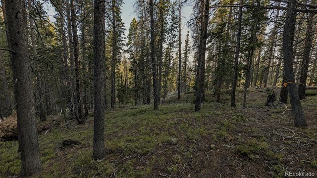000 Steuart Road, Idaho Springs, CO 80452