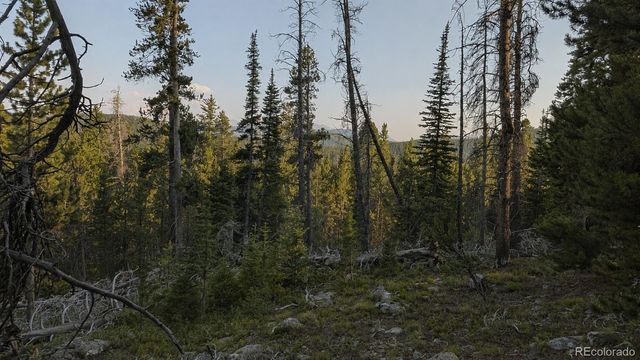 000 Steuart Road, Idaho Springs, CO 80452