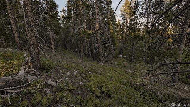 000 Steuart Road, Idaho Springs, CO 80452