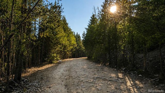 000 Steuart Road, Idaho Springs, CO 80452
