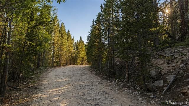 000 Steuart Road, Idaho Springs, CO 80452
