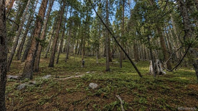 000 Steuart Road, Idaho Springs, CO 80452