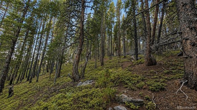 000 Steuart Road, Idaho Springs, CO 80452