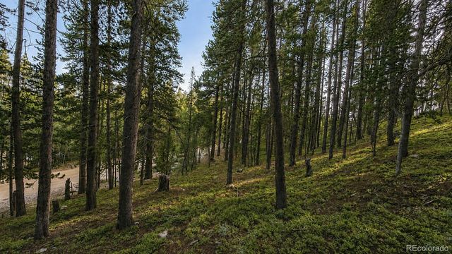 000 Steuart Road, Idaho Springs, CO 80452