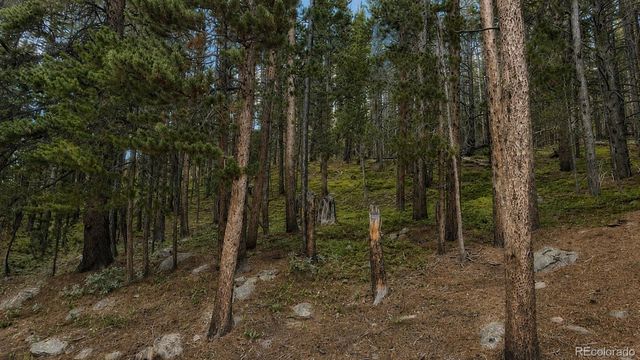 000 Steuart Road, Idaho Springs, CO 80452