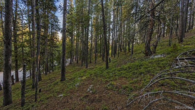 000 Steuart Road, Idaho Springs, CO 80452