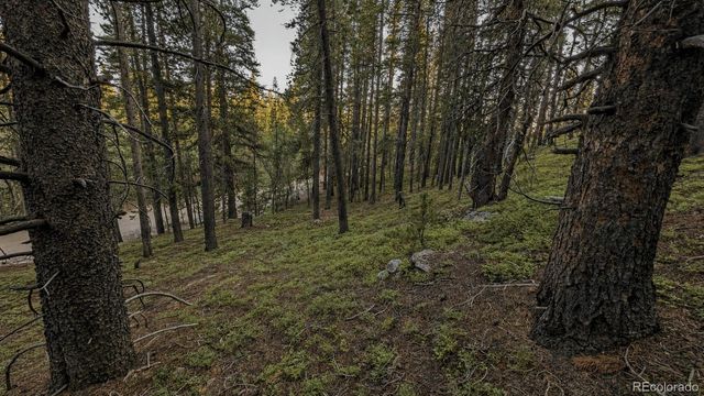 000 Steuart Road, Idaho Springs, CO 80452
