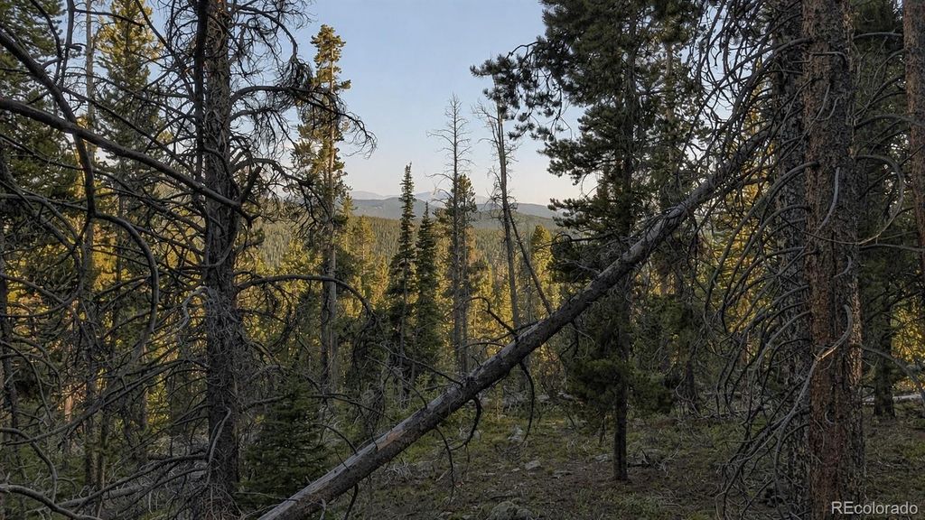 000 Steuart Road, Idaho Springs, CO 80452