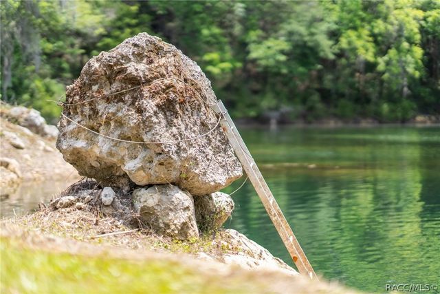 9986 E New Hope Court, Floral City, FL 34436