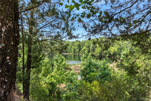 9986 E New Hope Court, Floral City, FL 34436