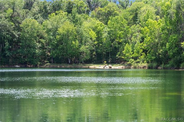 9986 E New Hope Court, Floral City, FL 34436