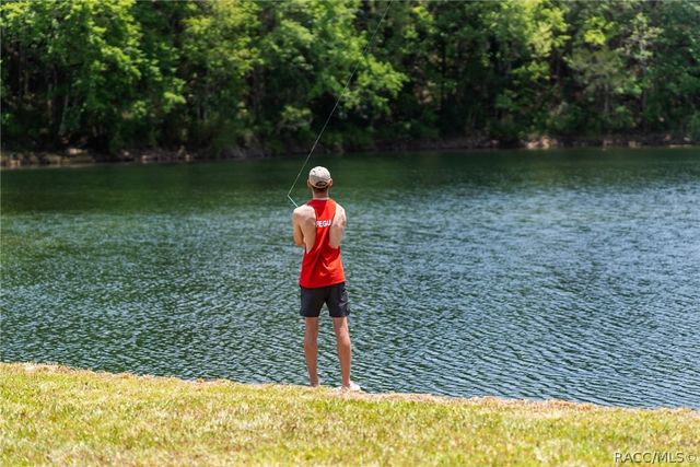 9986 E New Hope Court, Floral City, FL 34436