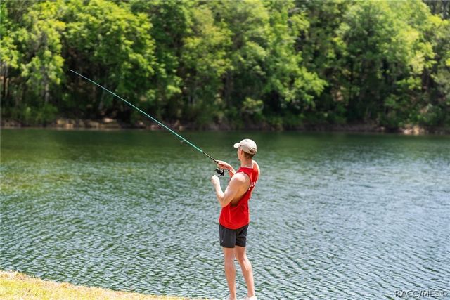 9986 E New Hope Court, Floral City, FL 34436