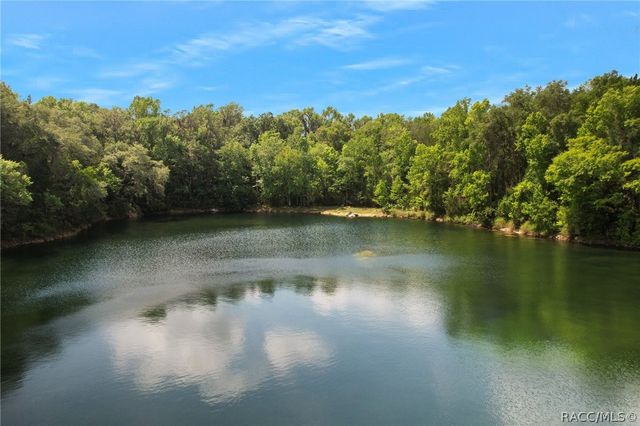 9986 E New Hope Court, Floral City, FL 34436