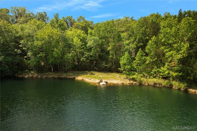 9986 E New Hope Court, Floral City, FL 34436