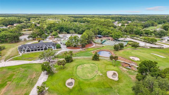 12912 STARLING DRIVE, Odessa, FL 33556