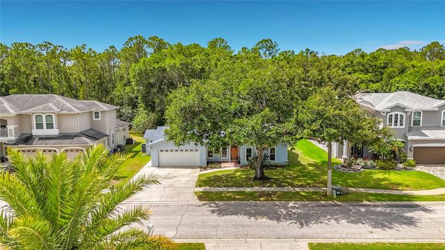 12912 STARLING DRIVE, Odessa, FL 33556