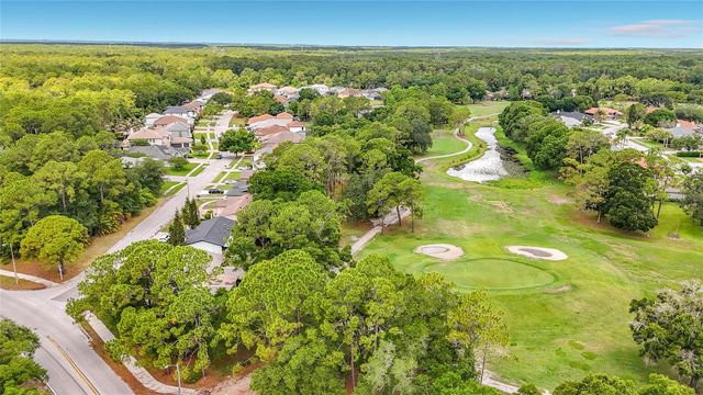 12912 STARLING DRIVE, Odessa, FL 33556