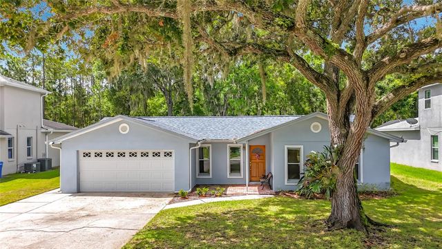 12912 STARLING DRIVE, Odessa, FL 33556