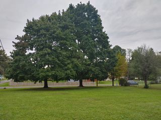 Lot 2 Pine Road, Genoa City, WI 53128