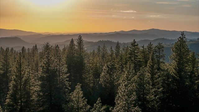 3061 E Highway 4, Murphys, CA 95247