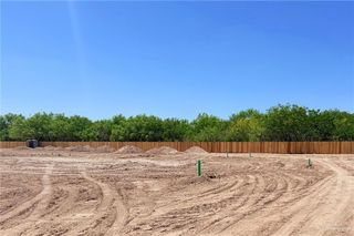 Lot 4 Jasper Lane, Alamo, TX 78516