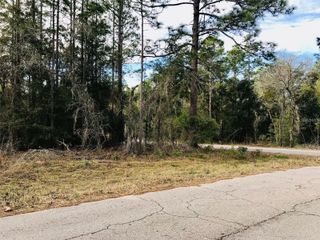 TBD NE 15TH STREET, Williston, FL 32696