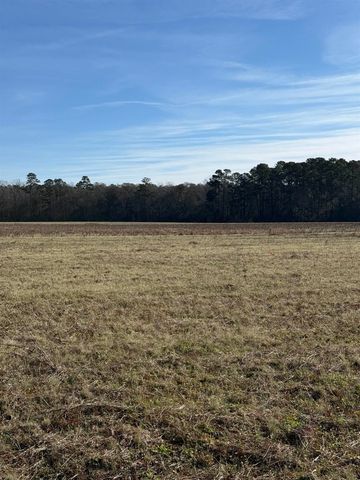 Lot 8 Johnson Shelley Rd., Conway, SC 29526