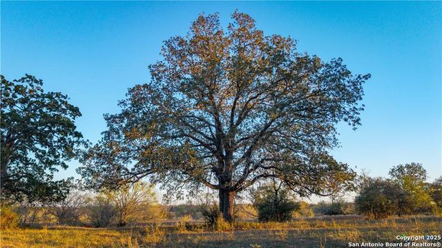 15145 Alternate 90, Kingsbury, TX 78638