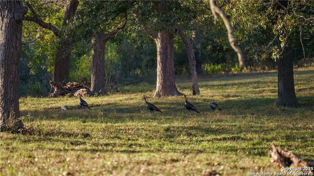 15145 Alternate 90, Kingsbury, TX 78638