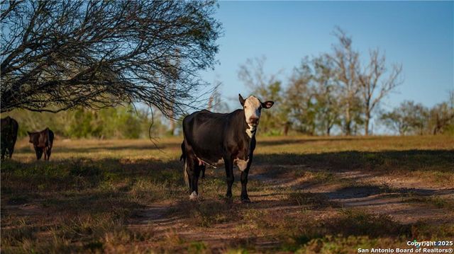 15145 Alternate 90, Kingsbury, TX 78638