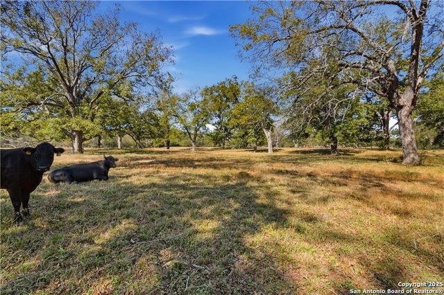 15145 Alternate 90, Kingsbury, TX 78638