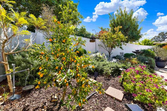 12325 Nacido Dr, San Diego, CA 92128