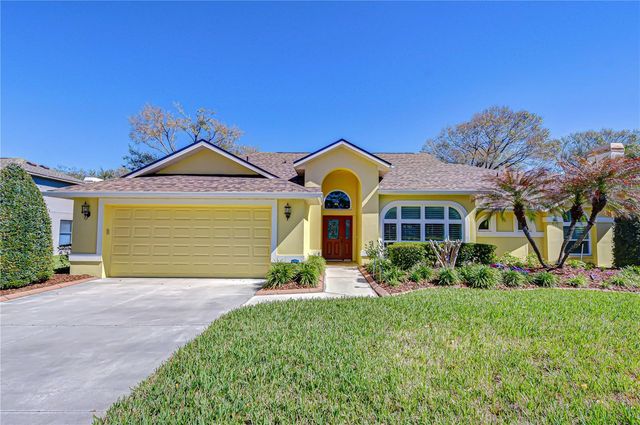 3901 NORTHRIDGE DRIVE, Valrico, FL 33596