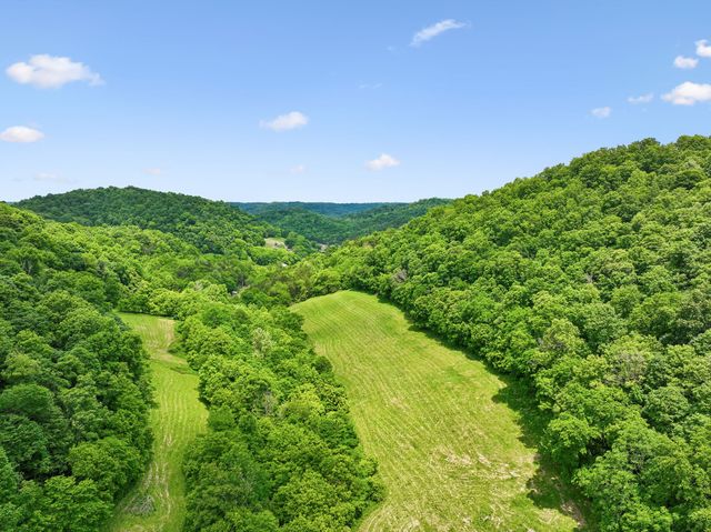 34 Friendship Hollow Rd, N, Pleasant Shade, TN 37145
