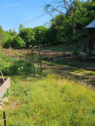 34 Friendship Hollow Rd, N, Pleasant Shade, TN 37145