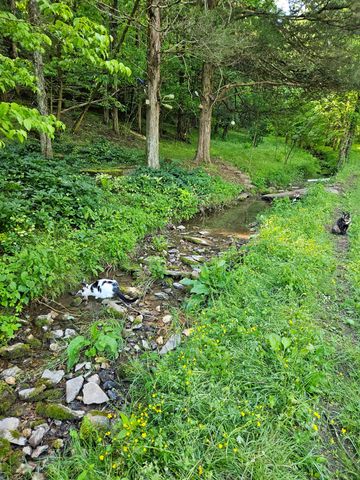 34 Friendship Hollow Rd, N, Pleasant Shade, TN 37145
